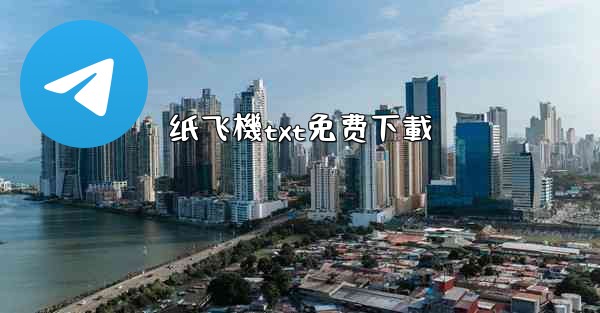 纸飞機txt免费下載