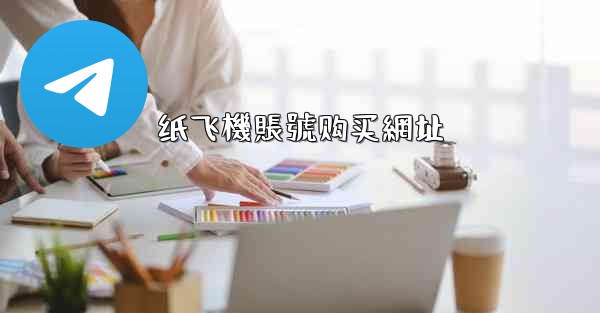 纸飞機賬號购买網址