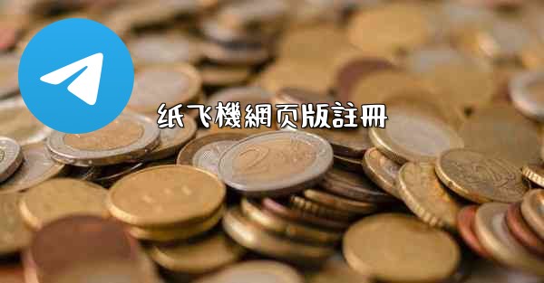 纸飞機網页版註冊