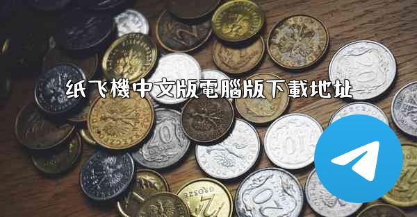 纸飞機中文版電腦版下載地址