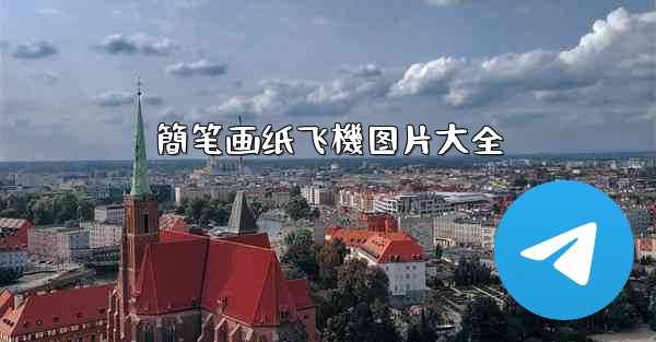 簡笔画纸飞機图片大全