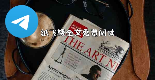 纸飞機全文免费阅读