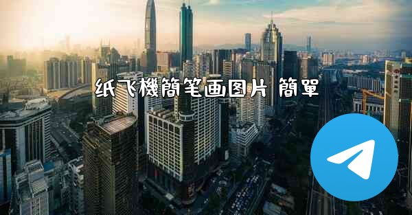 纸飞機簡笔画图片 簡單