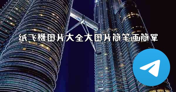 纸飞機图片大全大图片簡笔画簡單