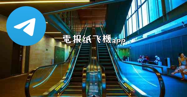 電报纸飞機app