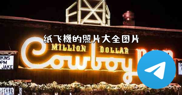 <b>纸飞機的照片大全图片</b>