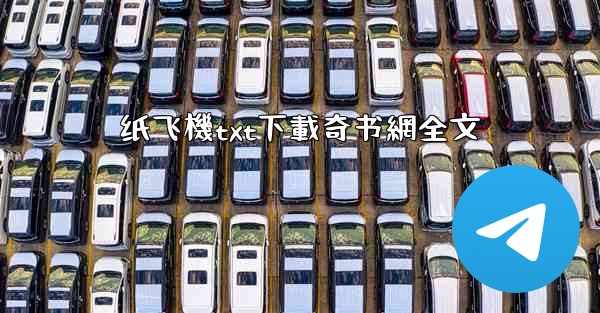 纸飞機txt下載奇书網全文