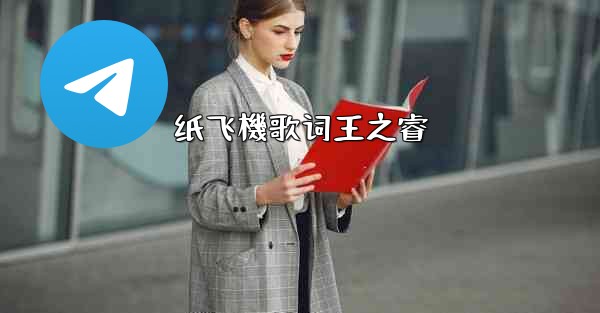 纸飞機歌词王之睿