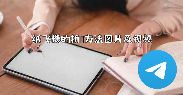 <b>纸飞機的折叠方法图片及视频</b>