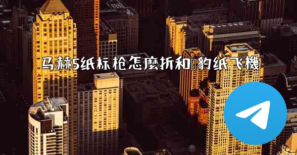 <b>马赫5纸标枪怎麼折和猎豹纸飞機</b>