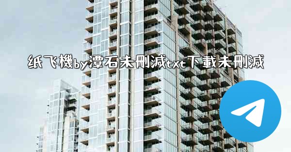 纸飞機by潭石未刪減txt下載未刪減