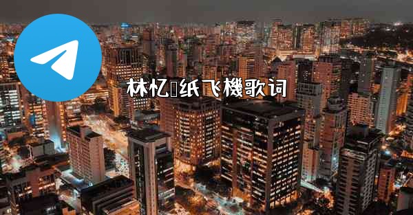 林忆莲纸飞機歌词