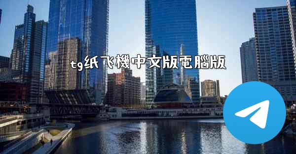 tg纸飞機中文版電腦版