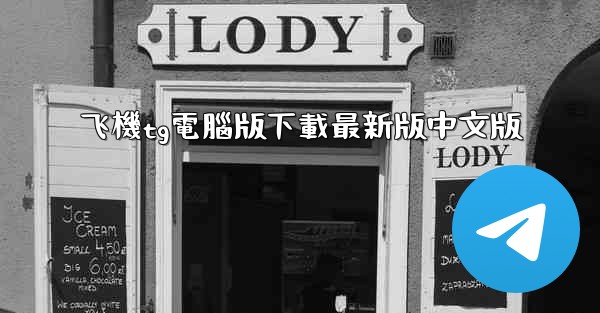 飞機tg電腦版下載最新版中文版