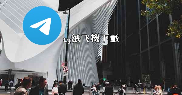tg纸飞機下載