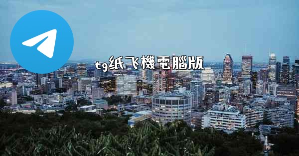 tg纸飞機電腦版
