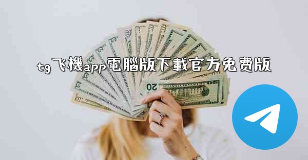 tg飞機app電腦版下載官方免费版