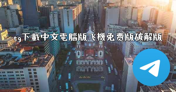 tg下載中文電腦版飞機免费版破解版