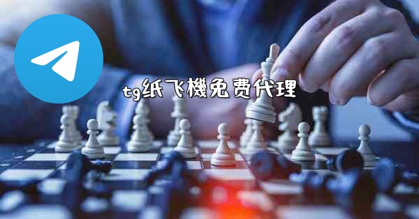 tg纸飞機免费代理