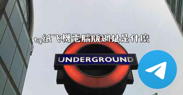 tg纸飞機電腦版網址是什麼