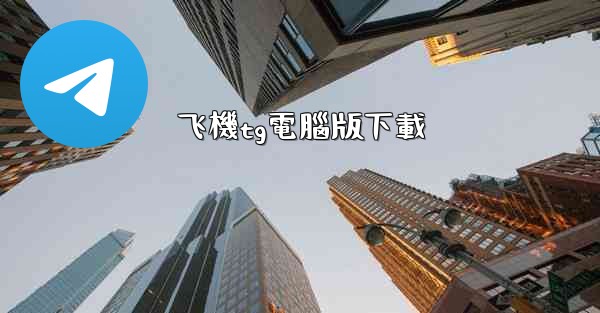 飞機tg電腦版下載
