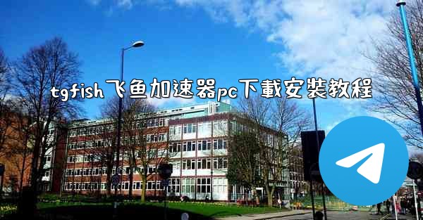 tgfish飞鱼加速器pc下載安裝教程