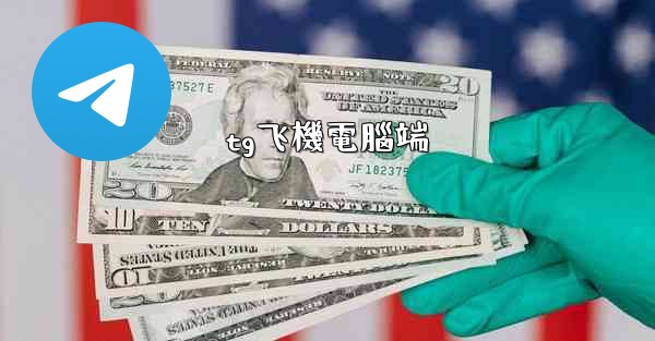 tg飞機電腦端