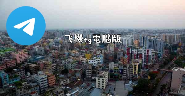 飞機tg電腦版