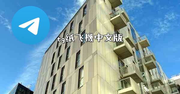 tg纸飞機中文版