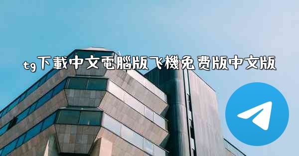 tg下載中文電腦版飞機免费版中文版