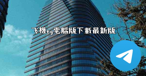 飞機tg電腦版下載最新版