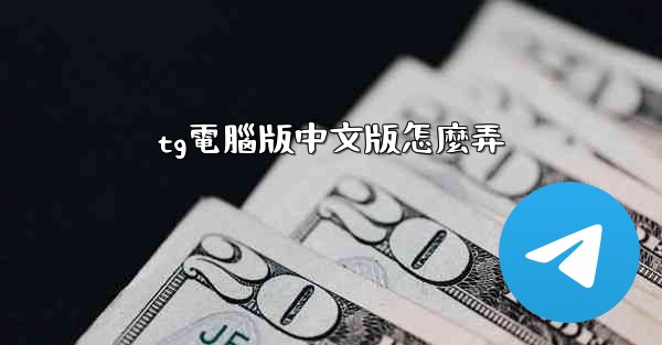 tg電腦版中文版怎麼弄