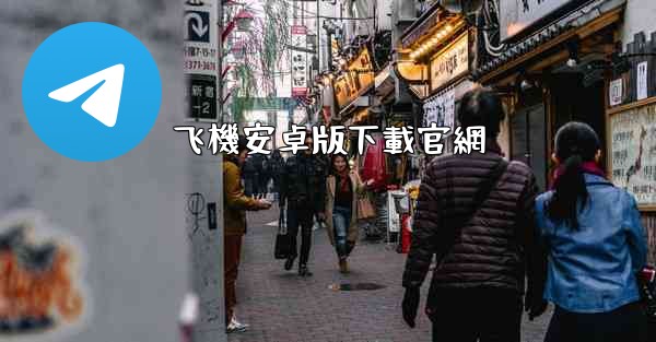 飞機安卓版下載官網