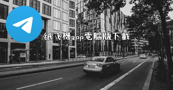 纸飞機app電腦版下載