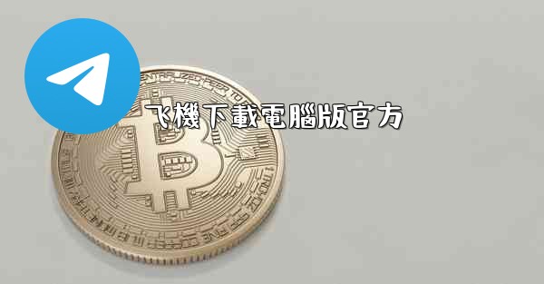 飞機下載電腦版官方