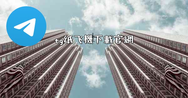 tg纸飞機下載官網