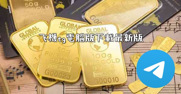 飞機tg電腦版下載最新版