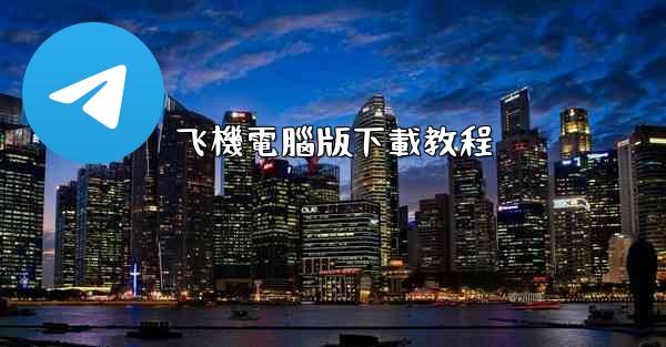 <b>飞機電腦版下載教程</b>