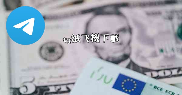 tg纸飞機下載