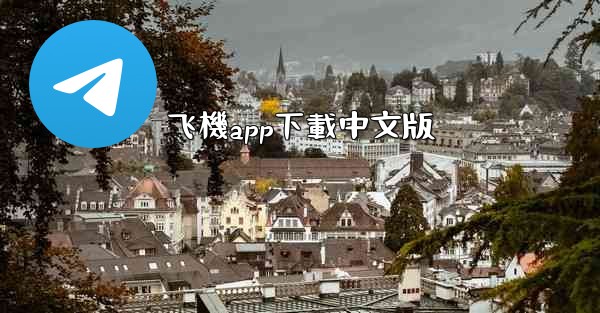 飞機app下載中文版