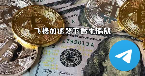 飞機加速器下載電腦版