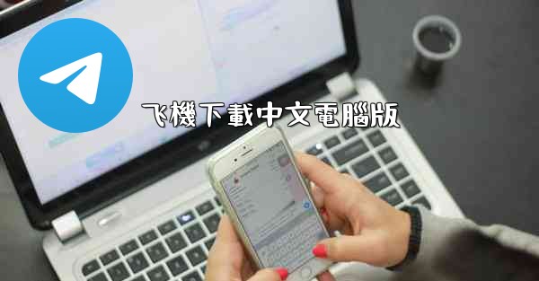 <b>飞機下載中文電腦版</b>