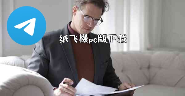 纸飞機pc版下載