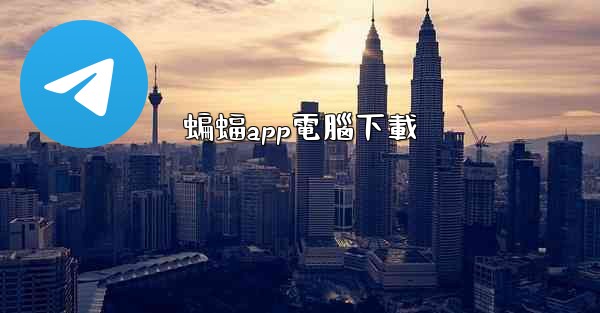 蝙蝠app電腦下載