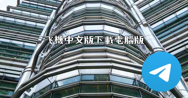 飞機中文版下載電腦版