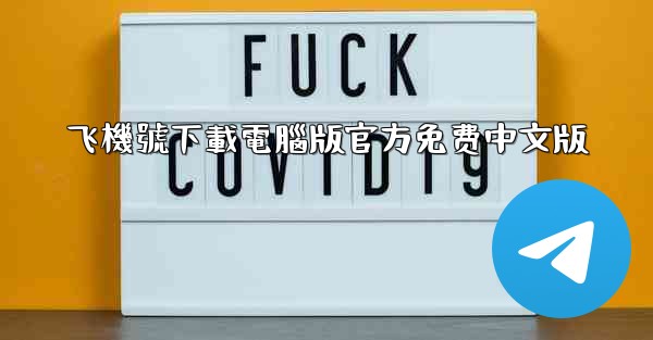 飞機號下載電腦版官方免费中文版