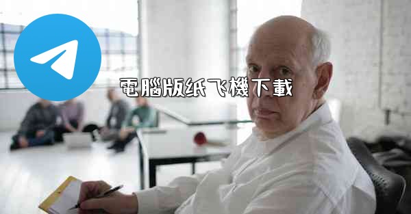 電腦版纸飞機下載