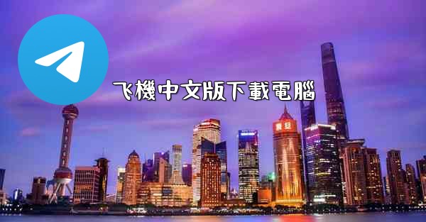 飞機中文版下載電腦