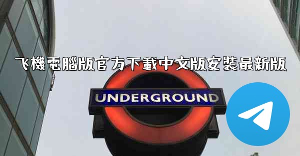 飞機電腦版官方下載中文版安裝最新版