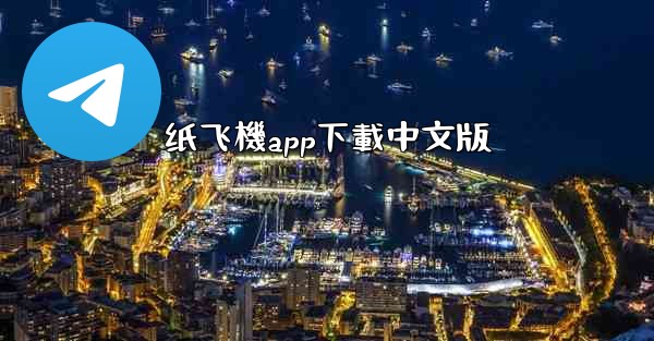 纸飞機app下載中文版